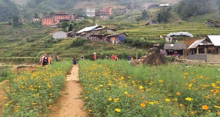 Highlight Ha Noi 7 jours 6 nuits - Hanoi - Sapa - Halong - Ninh Binh - Asia Pacific Travel 6