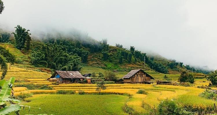 Highlight Ha Noi 7 jours 6 nuits - Hanoi - Sapa - Halong - Ninh Binh - Asia Pacific Travel 3