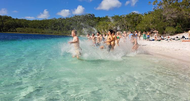 De Byron Bay à Cairns : Circuit d'aventure Roo de 15 jours - Stray Australia  9