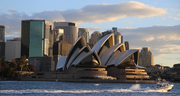 Sydney à Brisbane : 8 jours d'aventure Koala - Stray Australia  6