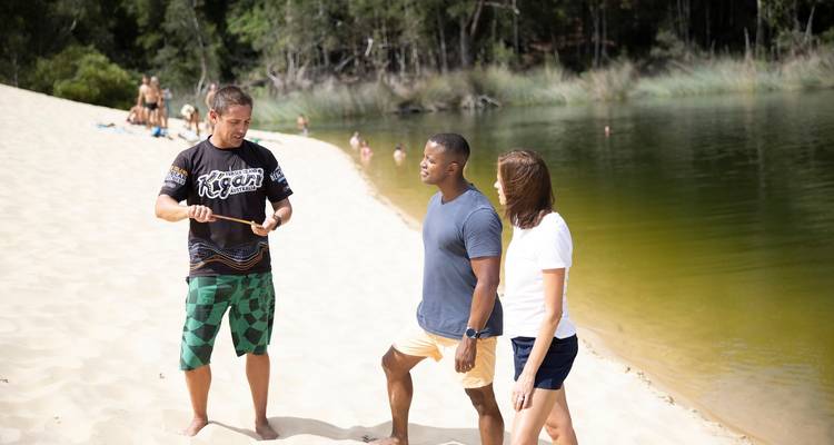 De Brisbane a Cairns: Excursión de 15 días a la Aventura de los Dingos - Stray Australia  9