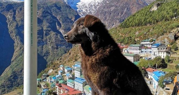 Everest base camp trek - Actual Adventure Pvt. Ltd. 6