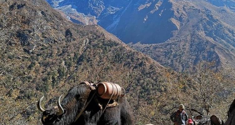 Trek au camp de base de l'Everest - Actual Adventure Pvt. Ltd. 7
