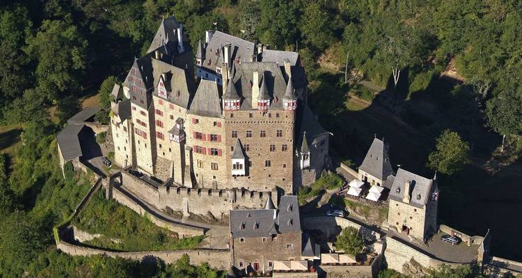 Luchtfoto van een groot historisch kasteel omringd door bomen.