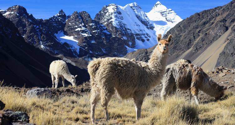 Cusco traditionnel et; Machu Picchu et; Maras et; Rainbow Mountain - 6 jours - PVTravels 9
