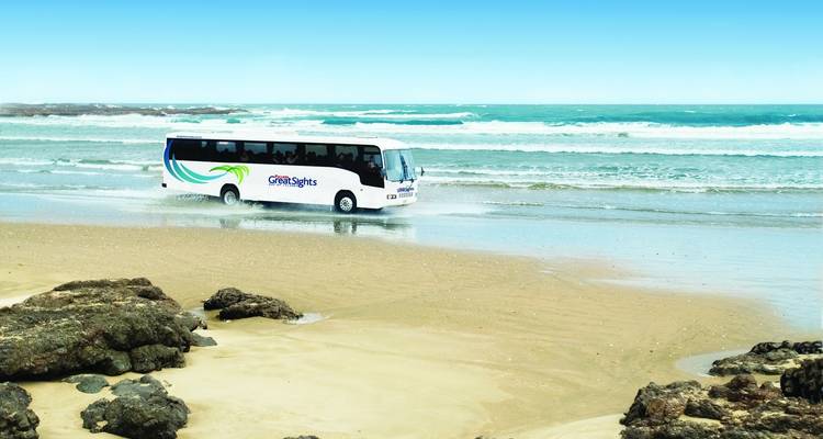 3 Day Experience Northland Tour - Thrifty Tours 3