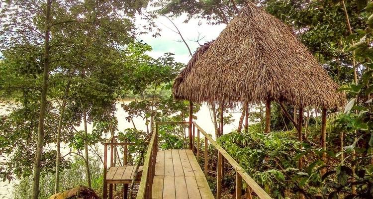 5 días - selva Amazónica de Tambopata - PVTravels 4
