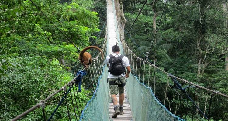 5 días - selva Amazónica de Tambopata - PVTravels 8
