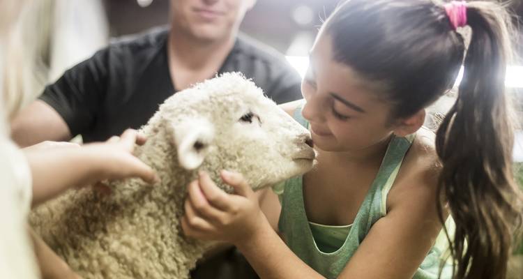 3 jours - Le meilleur des attractions du centre - Thrifty Tours 4