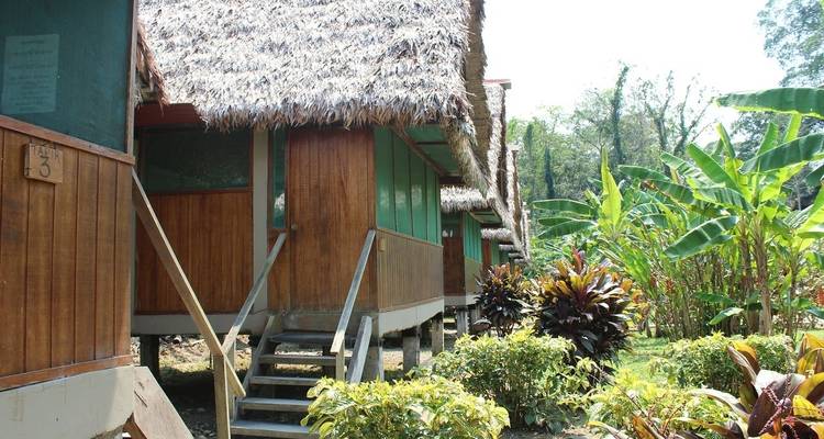 Thatched-roof huts in a tropical setting with surrounding plants.