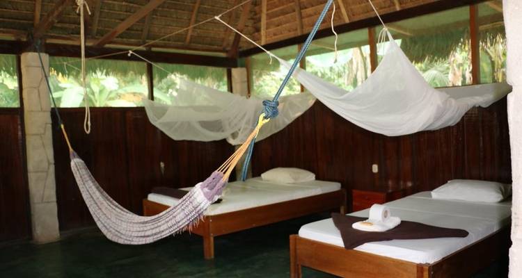 3 jours - Jungle amazonienne de Tambopata - PVTravels 9