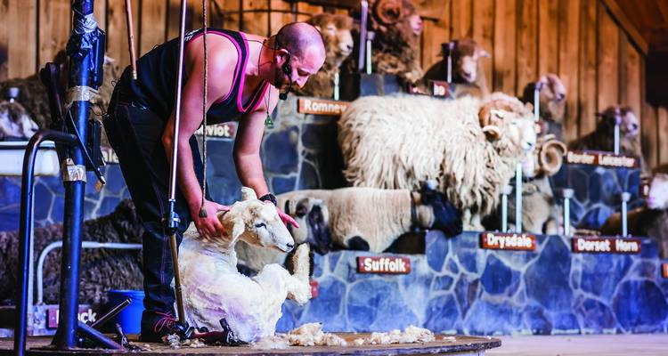 6 jours Best Bits du Nord - Thrifty Tours 4
