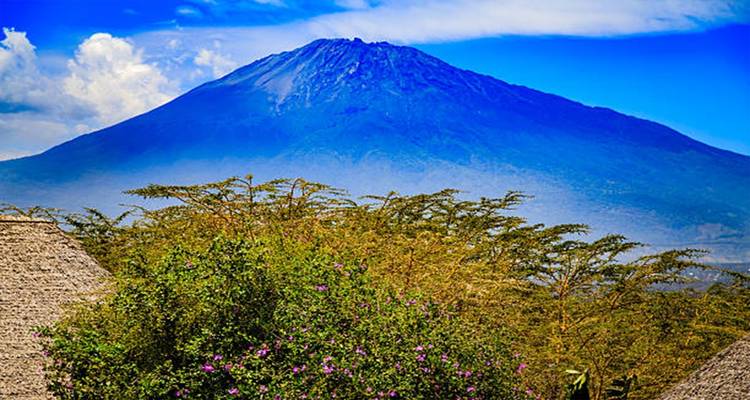 Ascensión al monte Meru - 4 días - Kilimanjaro Wonders Expedition Safari 6