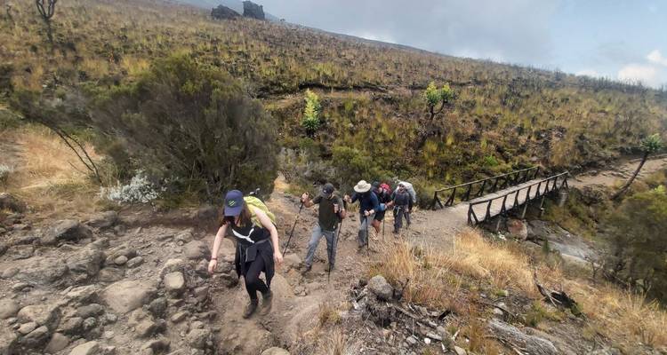Ascensión al monte Kilimanjaro ruta Marangu 8 días *todo incluido * - Zara Tours (Zara Tanzania Adventures) 8