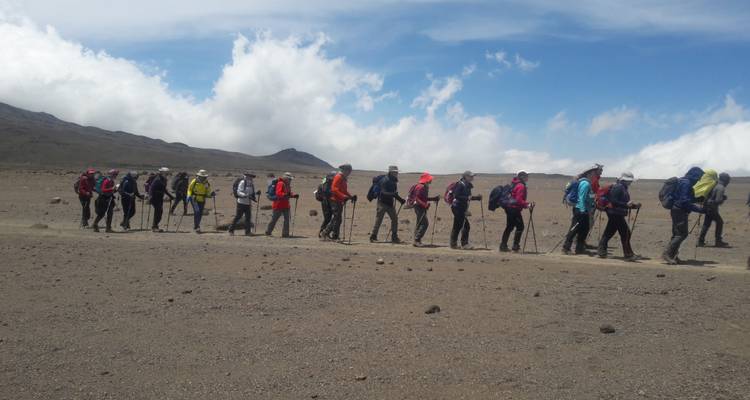 Ascensión al monte Kilimanjaro ruta Marangu 8 días *todo incluido * - Zara Tours (Zara Tanzania Adventures) 7