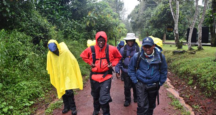 Kilimanjaro  Lemosho Route 10 Days * - Zara Tours (Zara Tanzania Adventures) 10