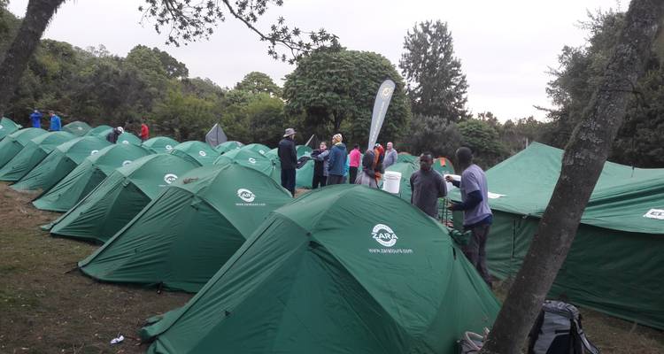 KiLimanjaro Escalada ruta Londorosi 11 días *Todo el alojamiento y Traslado al aeropuerto Incluido*. - Zara Tours (Zara Tanzania Adventures) 1