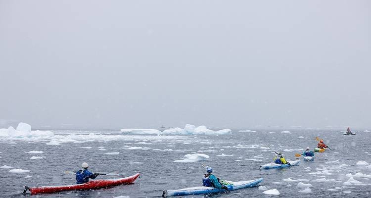 Le meilleur de l'Antarctique : Un Noël blanc - Ocean Endeavour - Intrepid Travel 8