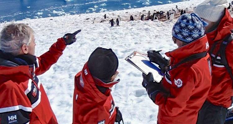 Researchers in red jackets point toward a colony of penguins while recording observations on a clipboard.