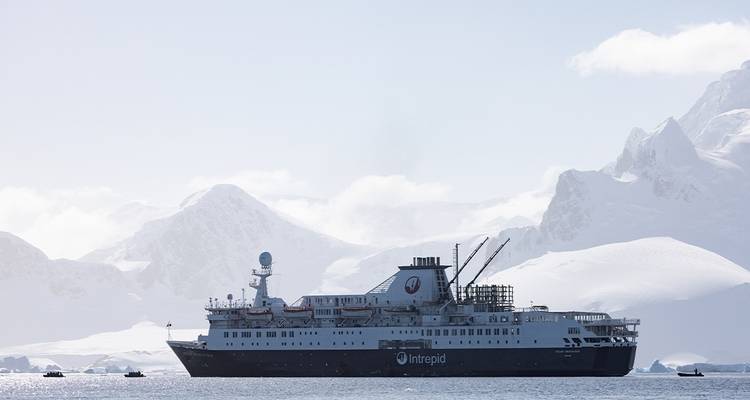 Shackleton's Antarctica, South Georgia & Falklands Explorer (Ocean Endeavour) - Intrepid Travel 5