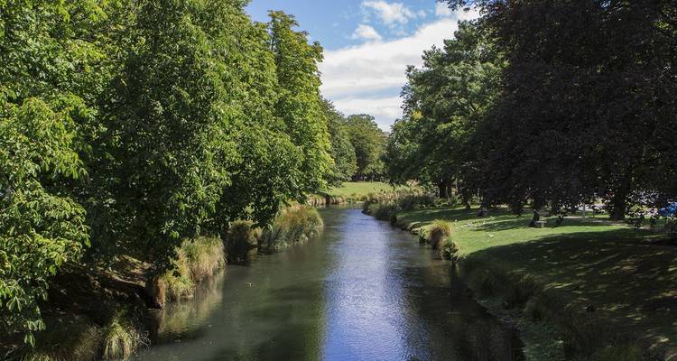 Excursión de 7 días de lo más destacado de Auckland a Christchurch - Thrifty Tours 9
