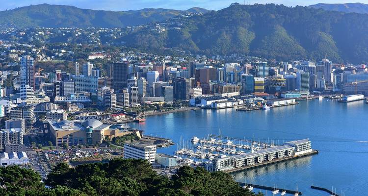Excursión de 7 días de lo más destacado de Auckland a Christchurch - Thrifty Tours 8