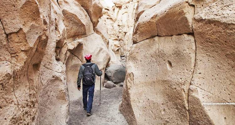 Arequipa et Canyon de Colca et Pierre de Sillar - 5 jours - PVTravels 8