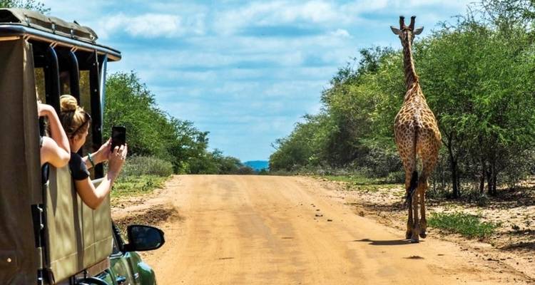 3-Day Classic Kruger National Park Big 5 Safari - The Mzansi Experience 6