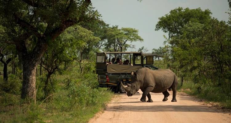 3-Day Classic Kruger National Park Big 5 Safari - The Mzansi Experience 7