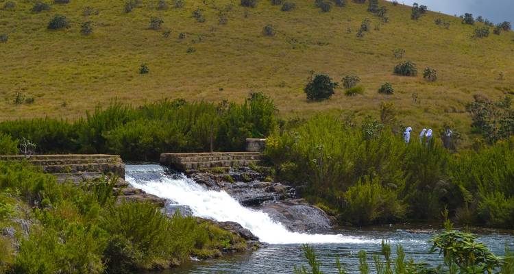 Kleine waterval die door een weelderig groen landschap stroomt.