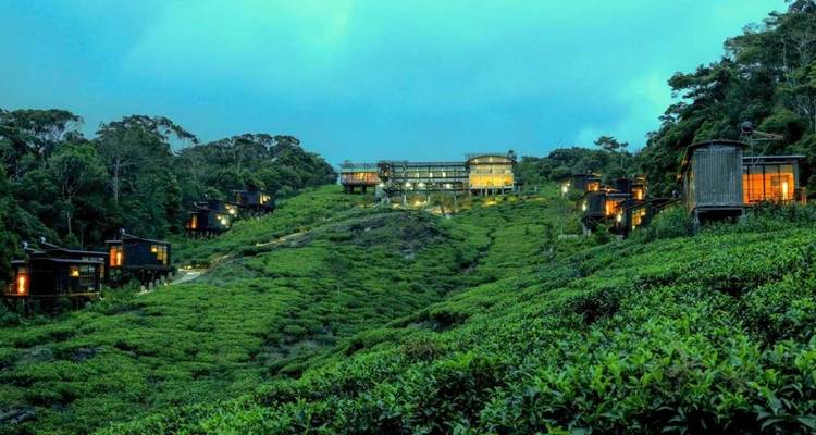 Een luxe hotelcomplex te midden van weelderige groene heuvels.