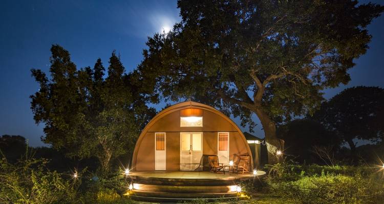 Luxurious glamping tent setup with ambient lighting at night.