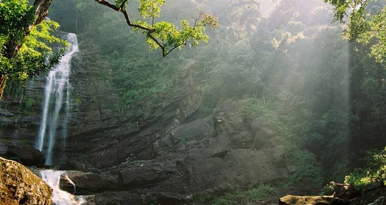 A waterfall in a forest with sunlight filtering through the trees.