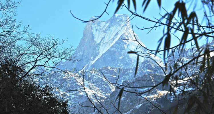 Amanecer Poonhill Trek -7 Días - Himalayan Adventure Treks & Tours 4