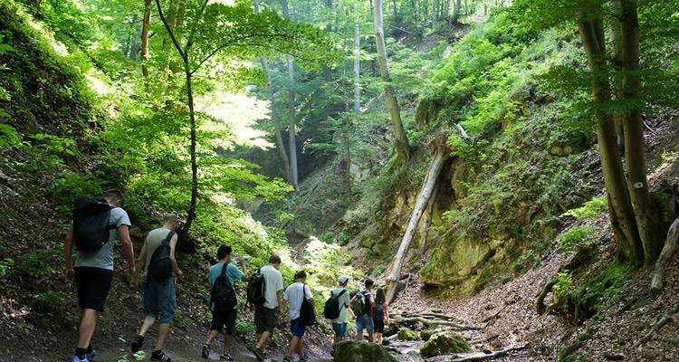 Amanecer Poonhill Trek -7 Días - Himalayan Adventure Treks & Tours 8