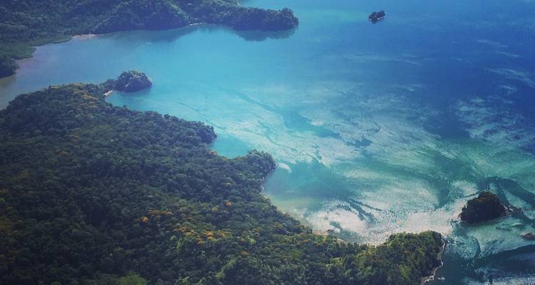 Le sud du Costa Rica : une biodiversité intense - Elemento Natural Costa Rica 9