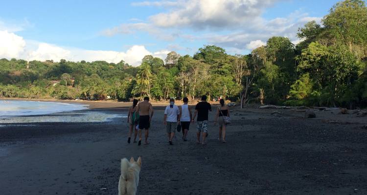 Le sud du Costa Rica : une biodiversité intense - Elemento Natural Costa Rica 3