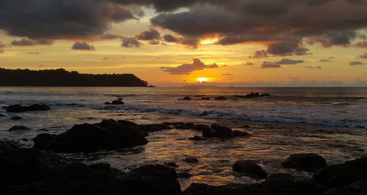 Le sud du Costa Rica : une biodiversité intense - Elemento Natural Costa Rica 6