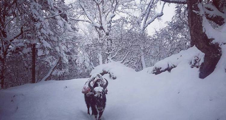 Everest Base Camp Trek - Trekking Trail Nepal Pvt Ltd 7
