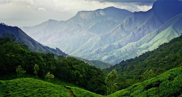 Le meilleur du Kerala - Panda Experiences 3