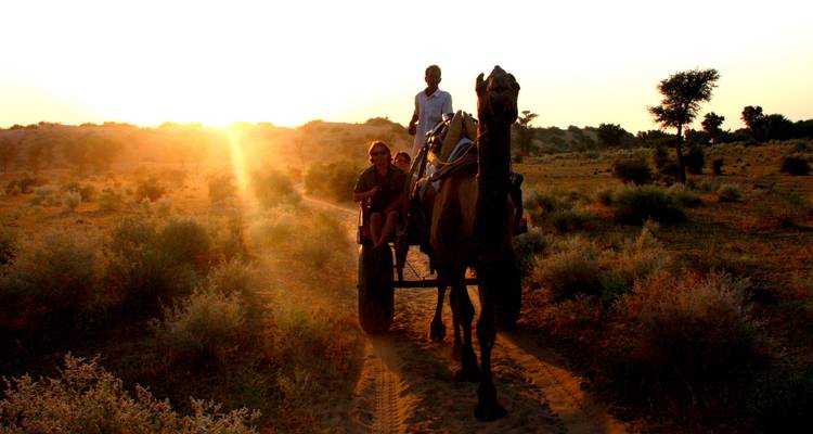 Gujarat with Rajasthan Tour - Panda Experiences 3