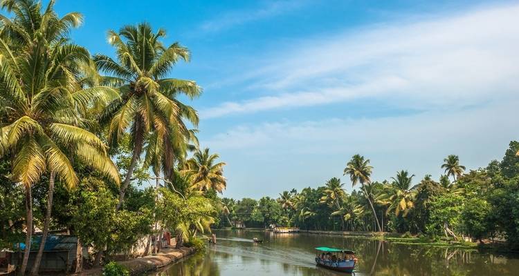 Tropische waterweg met palmbomen.