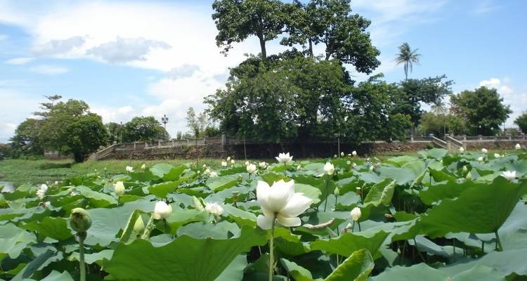 Le meilleur du Vietnam et du Cambodge - Threeland Travel 9