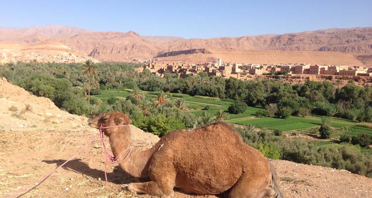 De Marrakech a Fez por el Sáhara 3 días - Easygo Tours 9