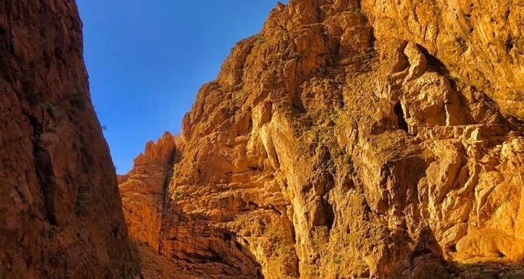 De Marrakech a Fez por el Sáhara 3 días - Easygo Tours 4