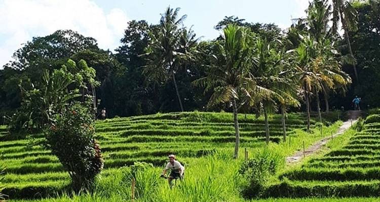 Bali et; East Java Enduro Mountain Bike 9D8N - Infinity Mountain Biking 6