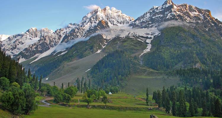 Une vue panoramique de montagnes enneigées et de verdure luxuriante.