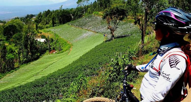 Volcans actifs et plages isolées - Infinity Mountain Biking 4