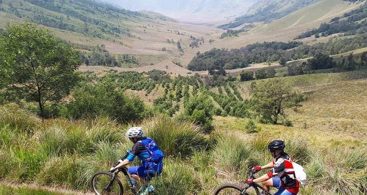 Volcans actifs et plages isolées - Infinity Mountain Biking 7