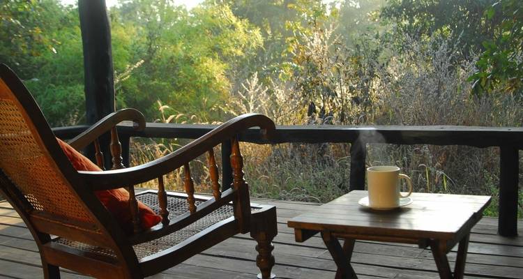 Paquete safari con tigres en la India - Panda Experiences 1